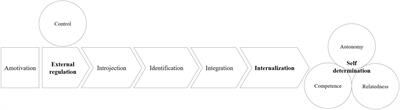 How Could Self-Determination Theory Be Useful for Facing Health Innovation Challenges?